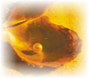 ostrica perlacea Oasi