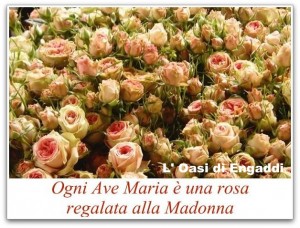 rose_card AveMaria-oasi