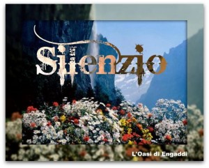 silenzio card oasi