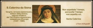 banner 1 s. caterina da siena