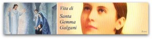 vita santa gemma banner