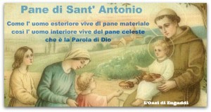 s. antonio banner oasi