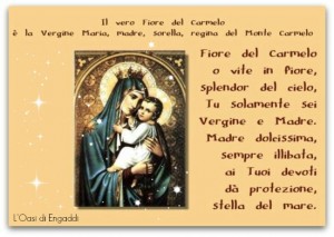 Fiore del Carmelo