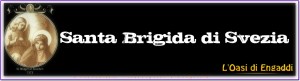 banner s brigida