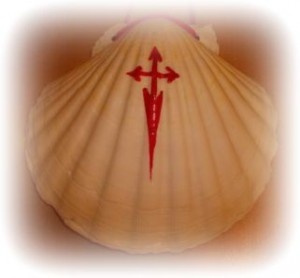 conchiglia san giacomo