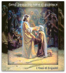 Dottore dei dottori