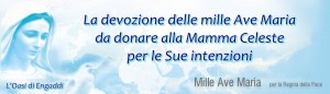 mille ave maria banner oasi