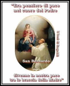 san bernardo card oasi