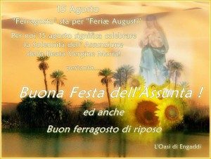 Immagine WhatsApp 2024 08 15 ore 09.14.57 cedf423b